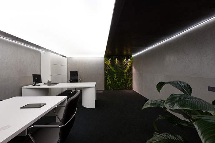 保險(xiǎn)公司辦公室辦公會(huì)議區(qū)裝修設(shè)計(jì)效果圖