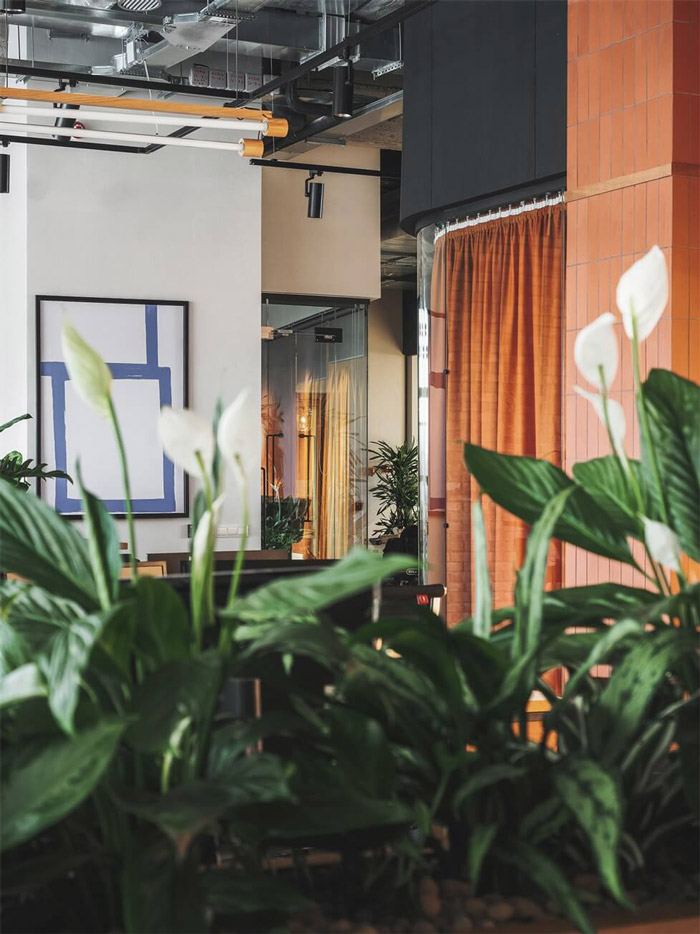 企業(yè)辦公室綠植裝修設(shè)計(jì)效果圖