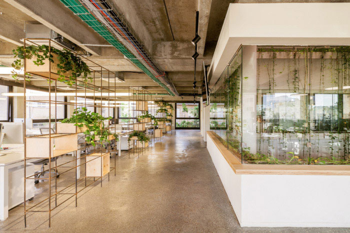 綠色辦公室走廊設計效果圖