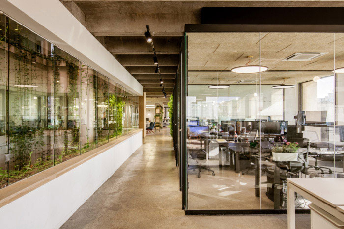 綠色辦公室走廊設計效果圖